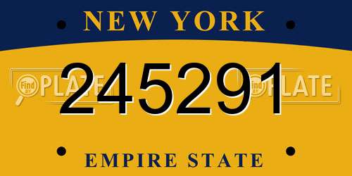 245291 New York License Plate