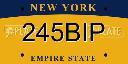245BIP New York License Plate
