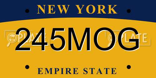 245MOG New York License Plate