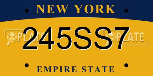 245SS7 New York License Plate