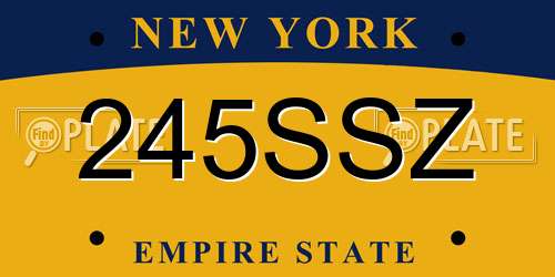 245SSZ New York License Plate