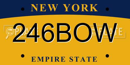 246BOW New York License Plate