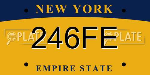 246FE New York License Plate