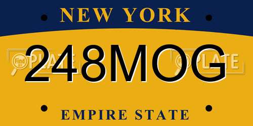 248MOG New York License Plate