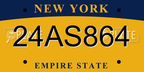 24AS864 New York License Plate