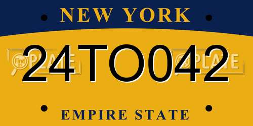 24TO042 New York License Plate