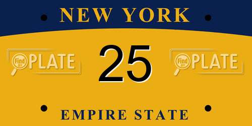 25 New York License Plate