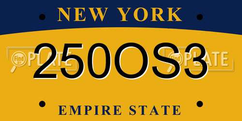 250OS3 New York License Plate