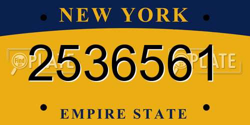2536561 New York License Plate