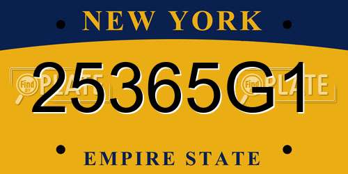25365G1 New York License Plate