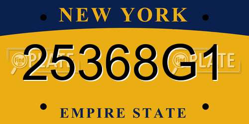 25368G1 New York License Plate