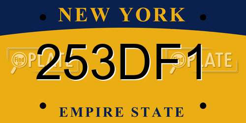 253DF1 New York License Plate