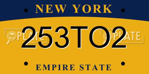 253TO2 New York License Plate