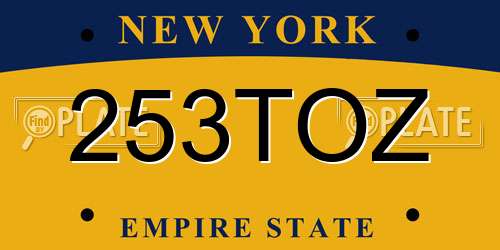 253TOZ New York License Plate
