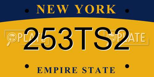 253TS2 New York License Plate