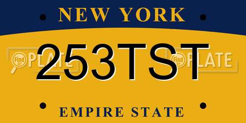 253TST New York License Plate