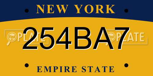254BA7 New York License Plate
