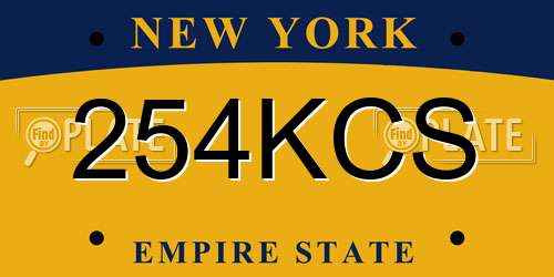 254KCS New York License Plate