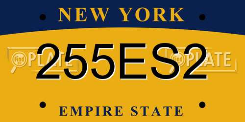 255ES2 New York License Plate