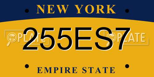 255ES7 New York License Plate