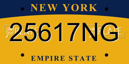 25617NG New York License Plate