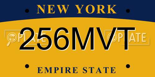 256MVT New York License Plate
