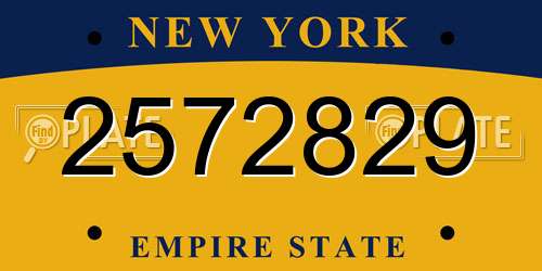 2572829 New York License Plate