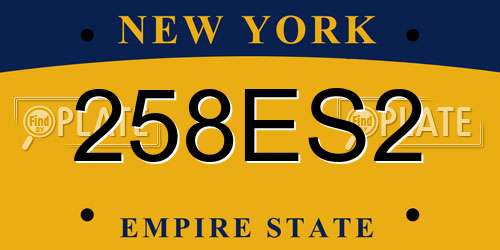 258ES2 New York License Plate