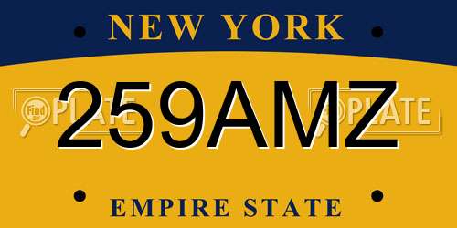 259AMZ New York License Plate