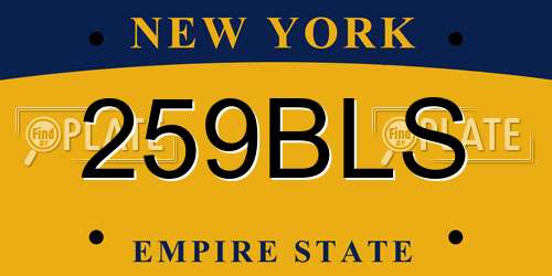 259BLS New York License Plate