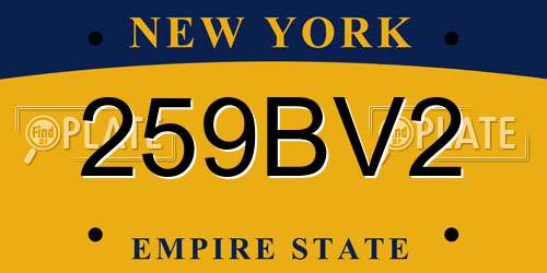 259BV2 New York License Plate