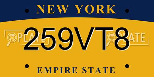259VT8 New York License Plate