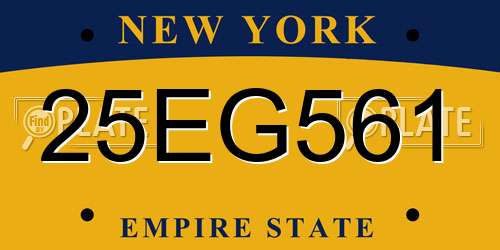 25EG561 New York License Plate