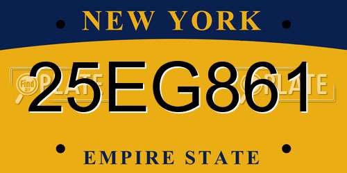 25EG861 New York License Plate