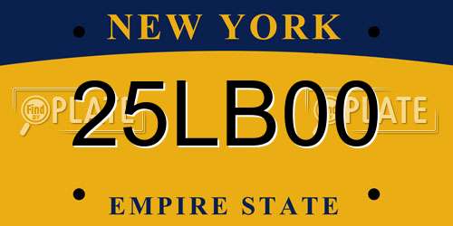 25LB00 New York License Plate