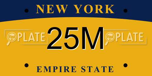 25M New York License Plate