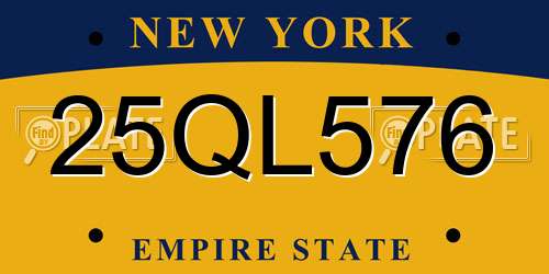 25QL576 New York License Plate