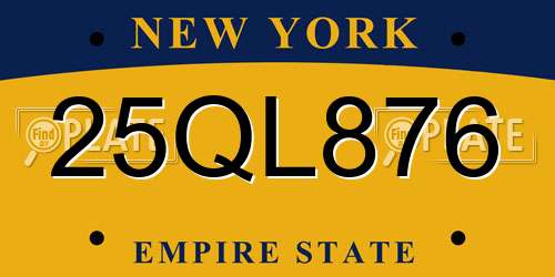 25QL876 New York License Plate