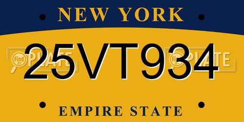 25VT934 New York License Plate