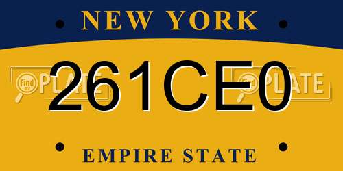 261CE0 New York License Plate