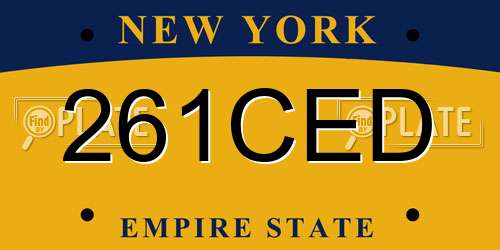 261CED New York License Plate