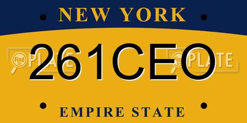 261CEO New York License Plate