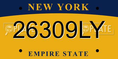 26309LY New York License Plate