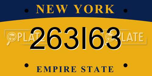 263I63 New York License Plate