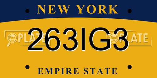 263IG3 New York License Plate