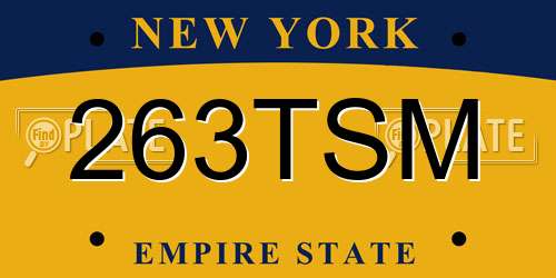 263TSM New York License Plate