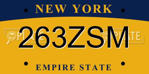 263ZSM New York License Plate
