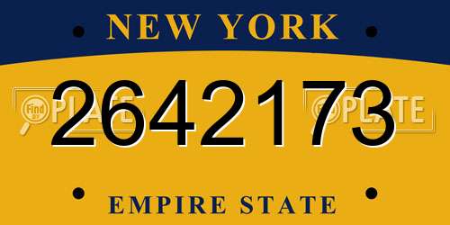 2642173 New York License Plate