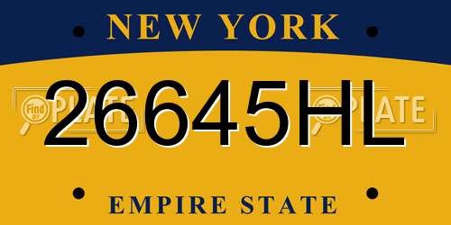 26645HL New York License Plate