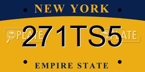 271TS5 New York License Plate